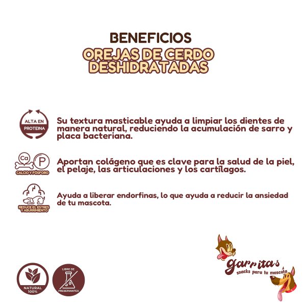 1K Oreja de Cerdo - Imagen 2