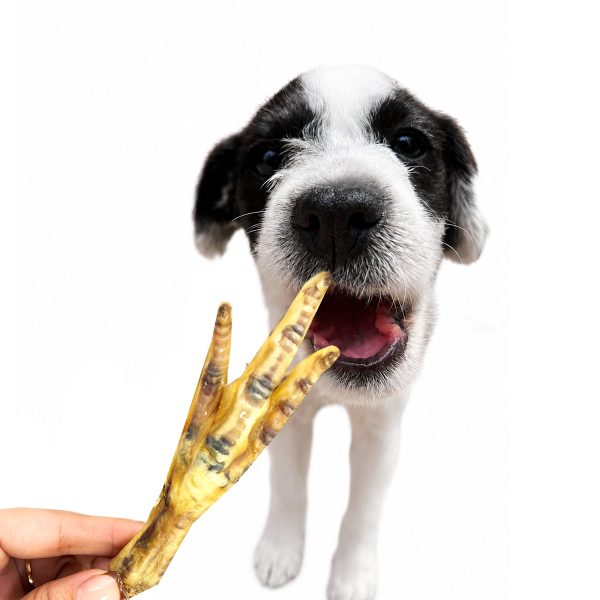1K Patitas de Pollo - Imagen 3